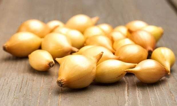 Cebula  dymka zimująca 0,5 kg -Flora Szczecin