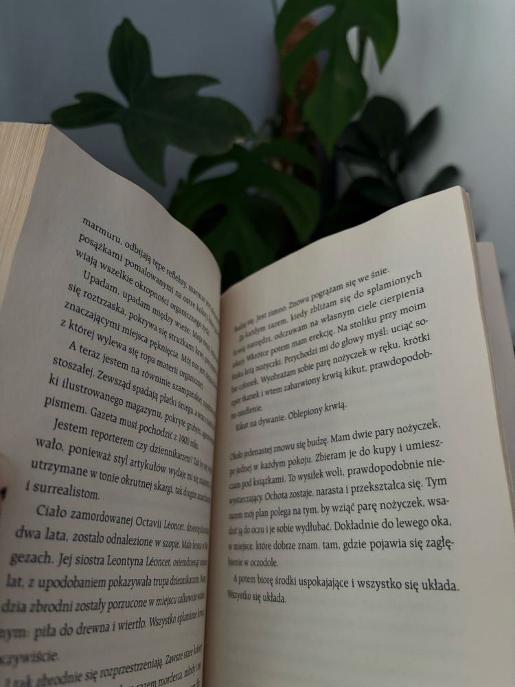 Poszerzenie pola walki - M. Houellebecq