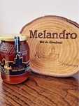 Mel, apicultura, abelhas