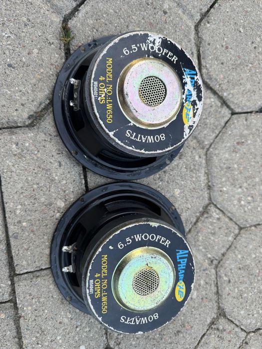 Glosniki niskotnowe Alphard LW650 80W 2 sztuki