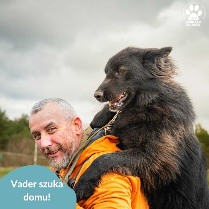 Vader szuka kochającej rodziny!