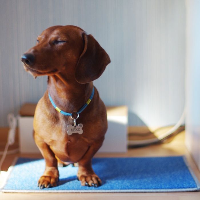 Dywanik grzewczy na podczerwień TRIO