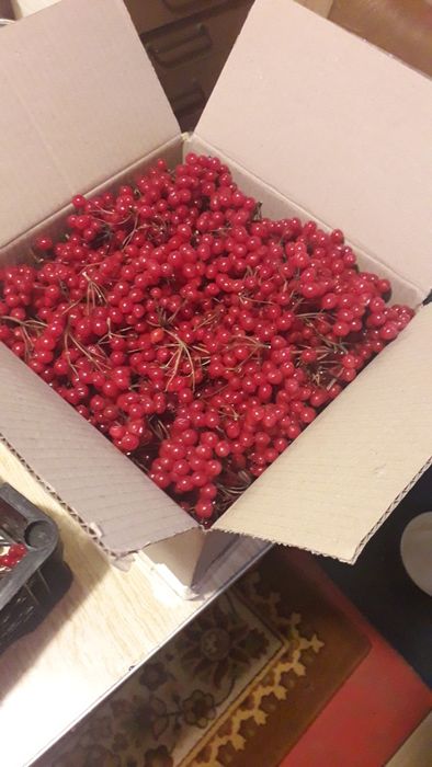 Свежайшая калина, очень вкусная, 2024 год збор!!!