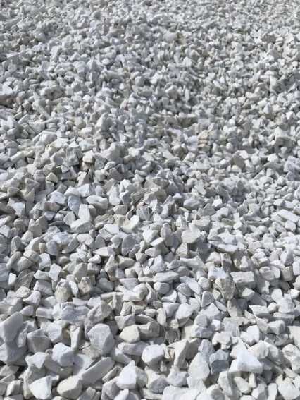 Grys Biała Marianna I Gatunek Akwarium Ogród Opaska Podjazd