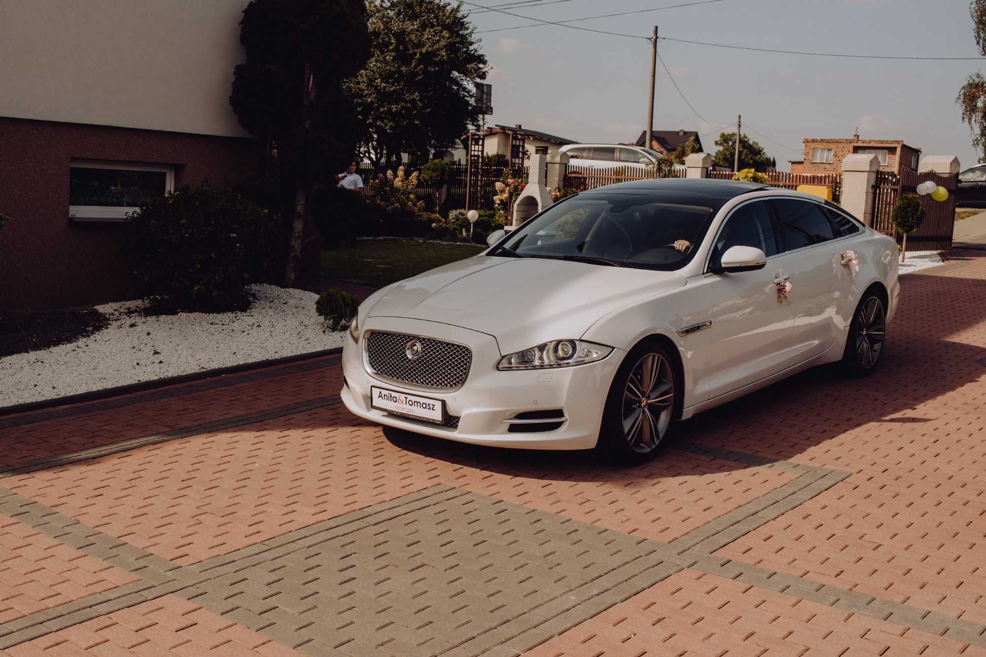 Auto Samochód do Ślubu Wesela 18-stki Jaguar XJL w longu Biały