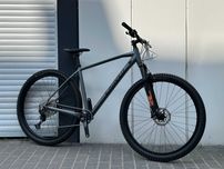 Велосипед Carver Strict 140 29" L