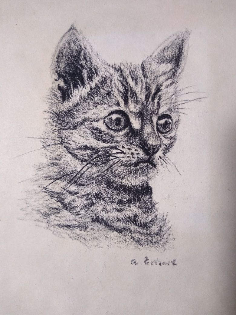Rysunek Kotek technika wykonana węglem sygnowana