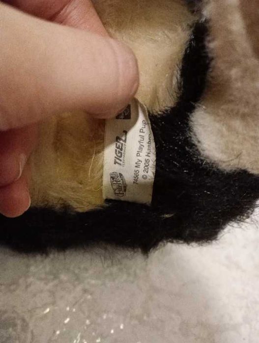 Husky peluche cão