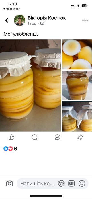 Чайний гриб/комбуча на 1л, 3л банку та на лимонадницю. Домашній квас.