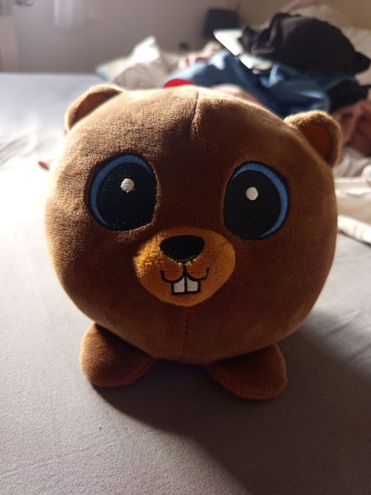 Bóbr maskotka z biedronki