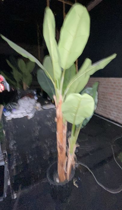 Planta Tropical Artificial + Candeeiro Tripé Industrial