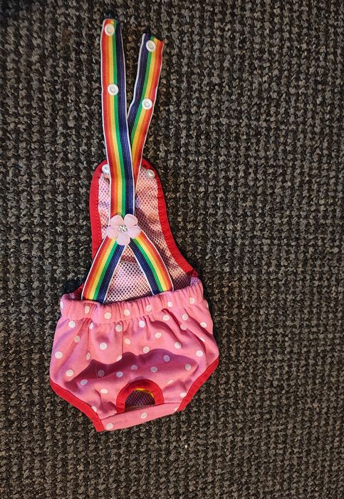 Majteczki na cieczkę dla małego pieska