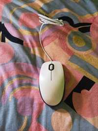 Myszka logitech M100