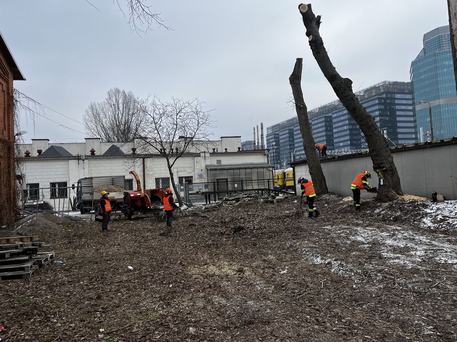 Wycinka drzew, pielegnacja drzew, przygotowanie terenu pod budowe
