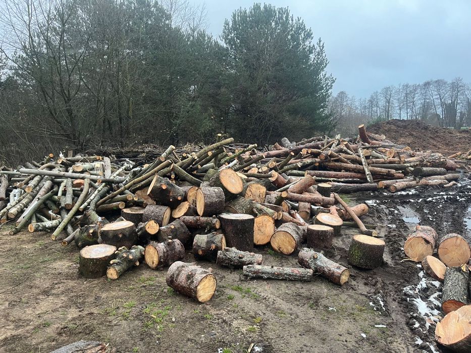 Drewno na opał obałki