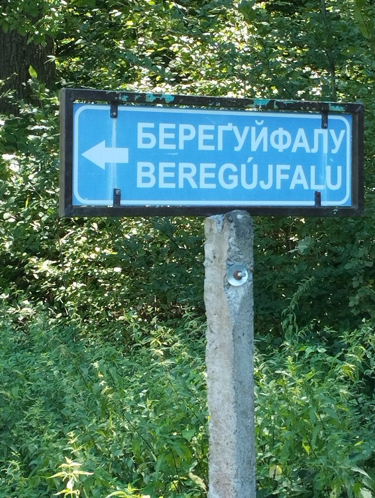 Продам дом Закарпатье Берегуйфолу