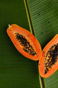 Papaya Mint NSP Nature's Sunshine suplement na trawienie