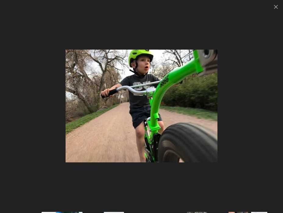 WeeRide PRO Pilot ALU rower, przyczepka, doczepka rowerowa dla dzieci