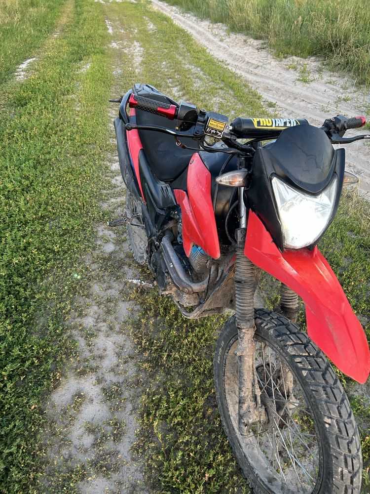 Продам Лонкин прус 200