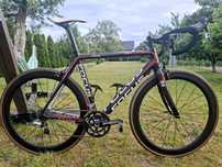 Szosa Focus cayo 56 carbon
