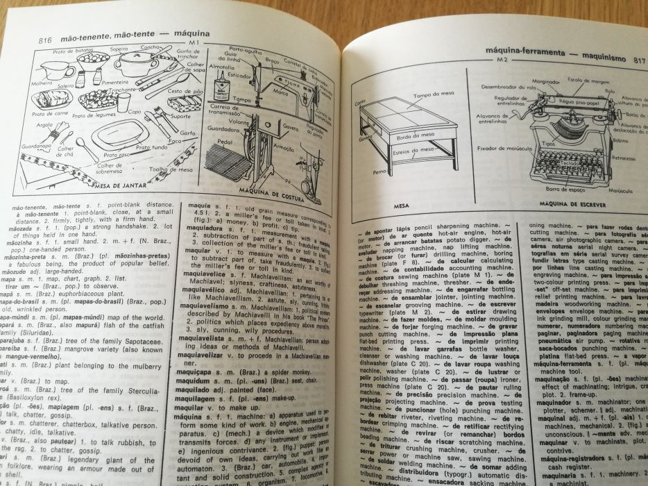 Dicionário Ilustrado Michaelis - português/inglês e inglês/português