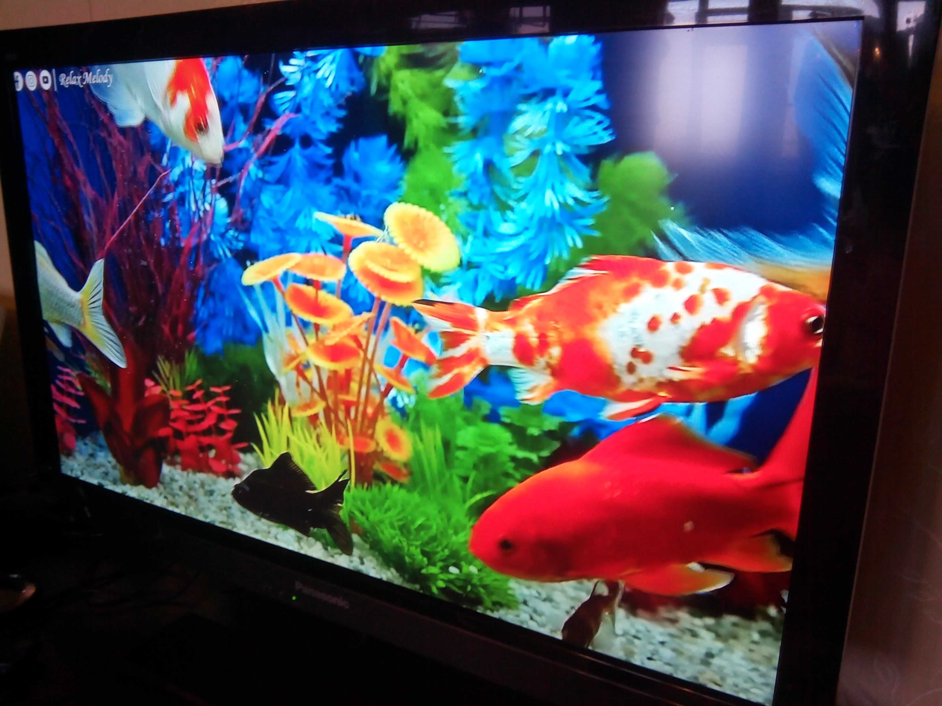 телевизор Full HD Panasonic TX-L32 DT  пульт\подставка