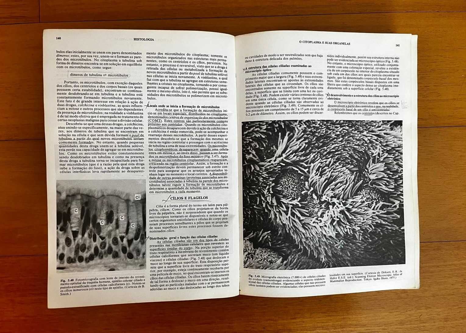 Histologia 8ªEdição