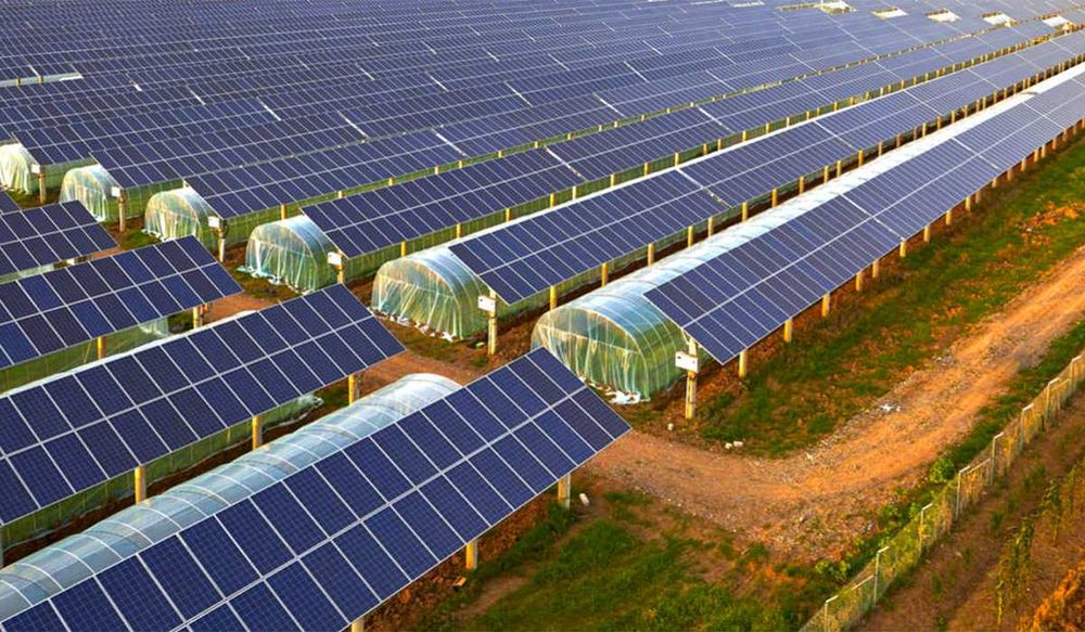 Sprzedam projekt farmy PV 0.3 MW pd. Wlkp. / warunki / Projekt / Zoba!