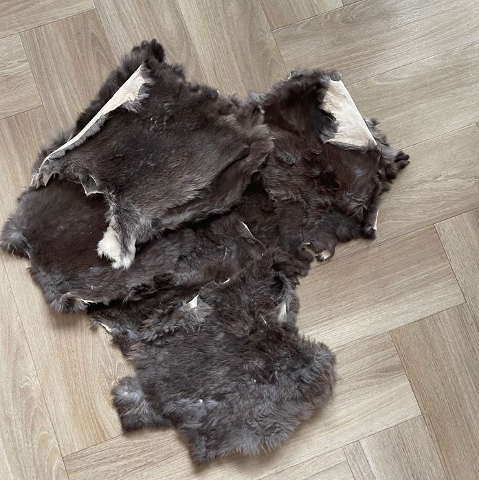 Skóra królik, skóry królicze, futro z królika, Skóry z królika