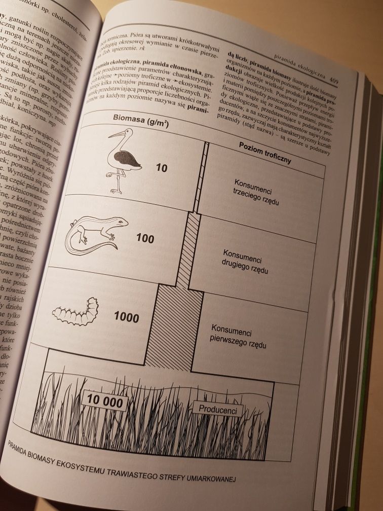 Encyklopedia biologia