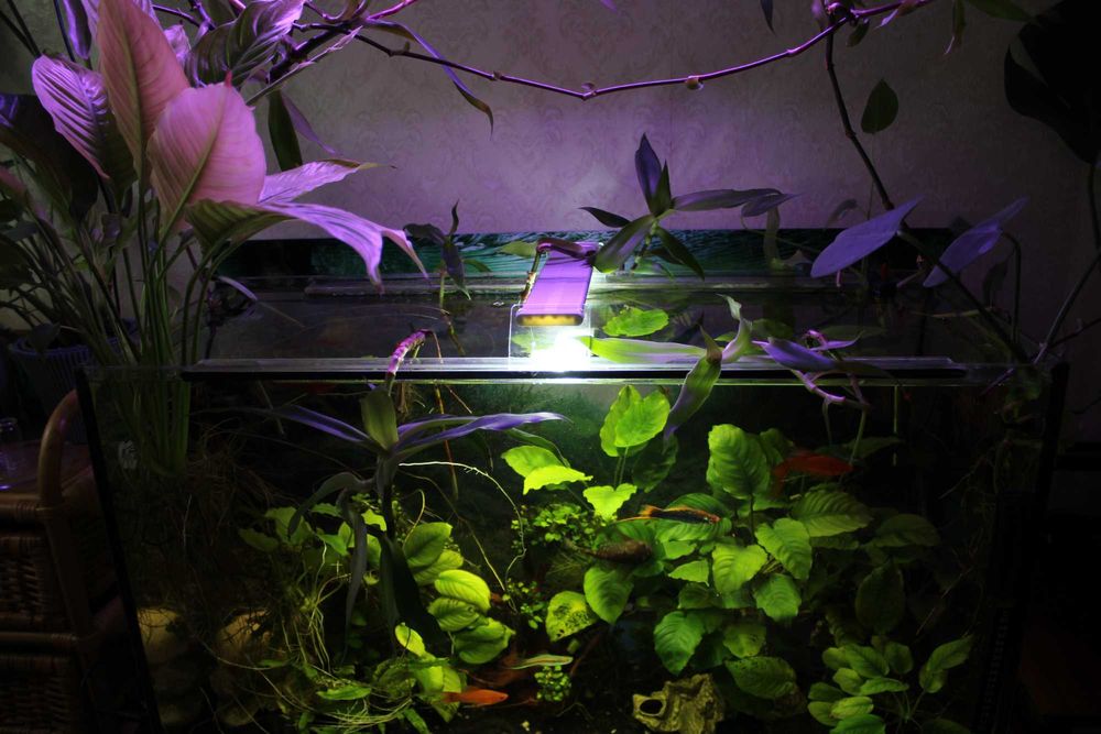 Akwarium 150l pełna opcja z bogatą aranżacją