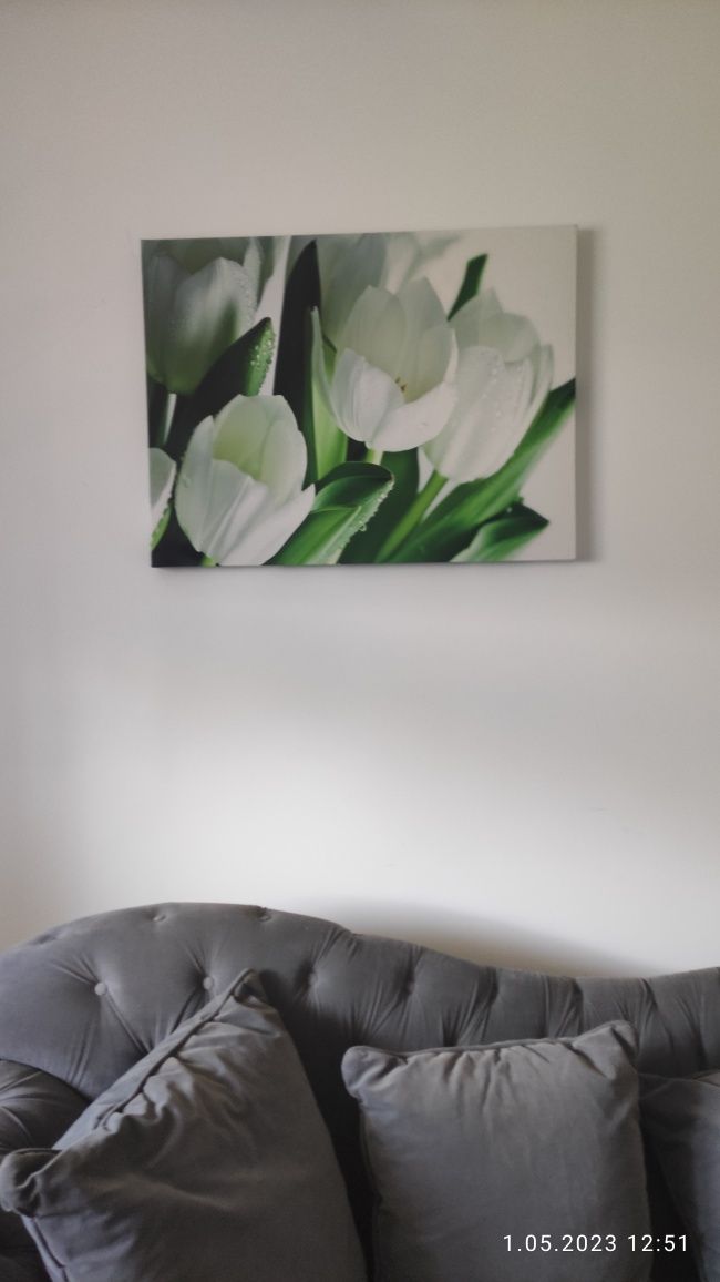 Obraz białe tulipany