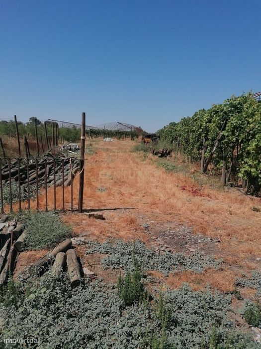 Loja-Armazém Na Quinta Da Pigarça   Cuba-Imóvel Ocupado | Não Disponív