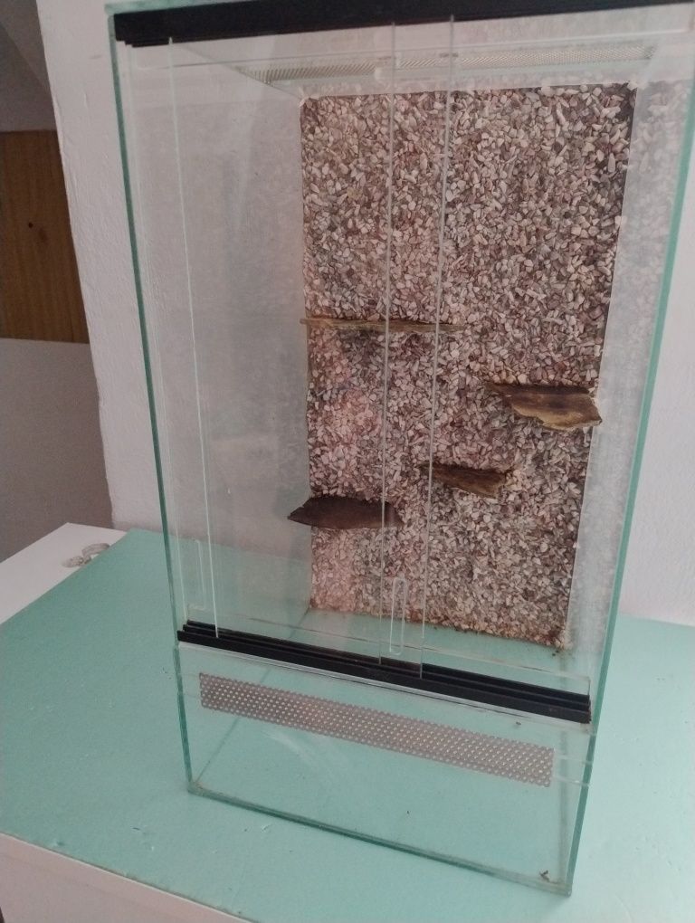 Terrarium pionowe 30x30x50 cm