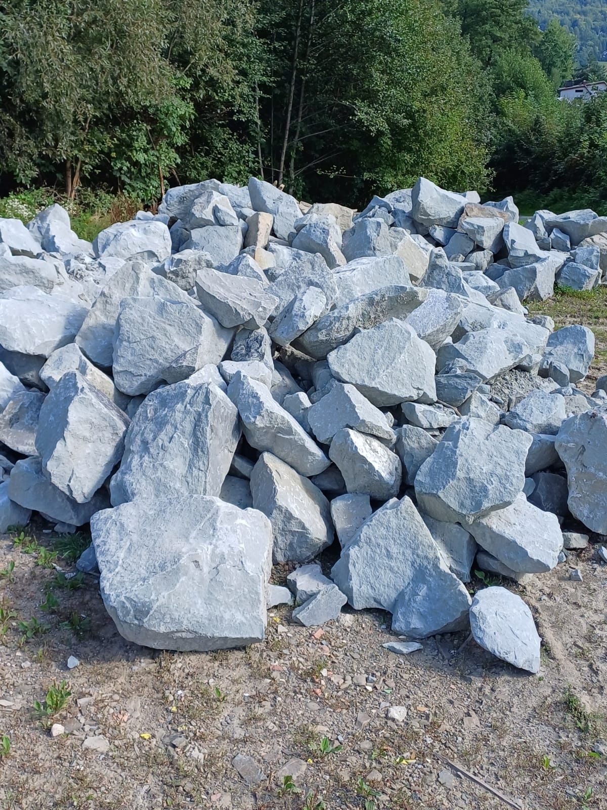 Kamień ogrodowy ozdobny naturalny  głazy