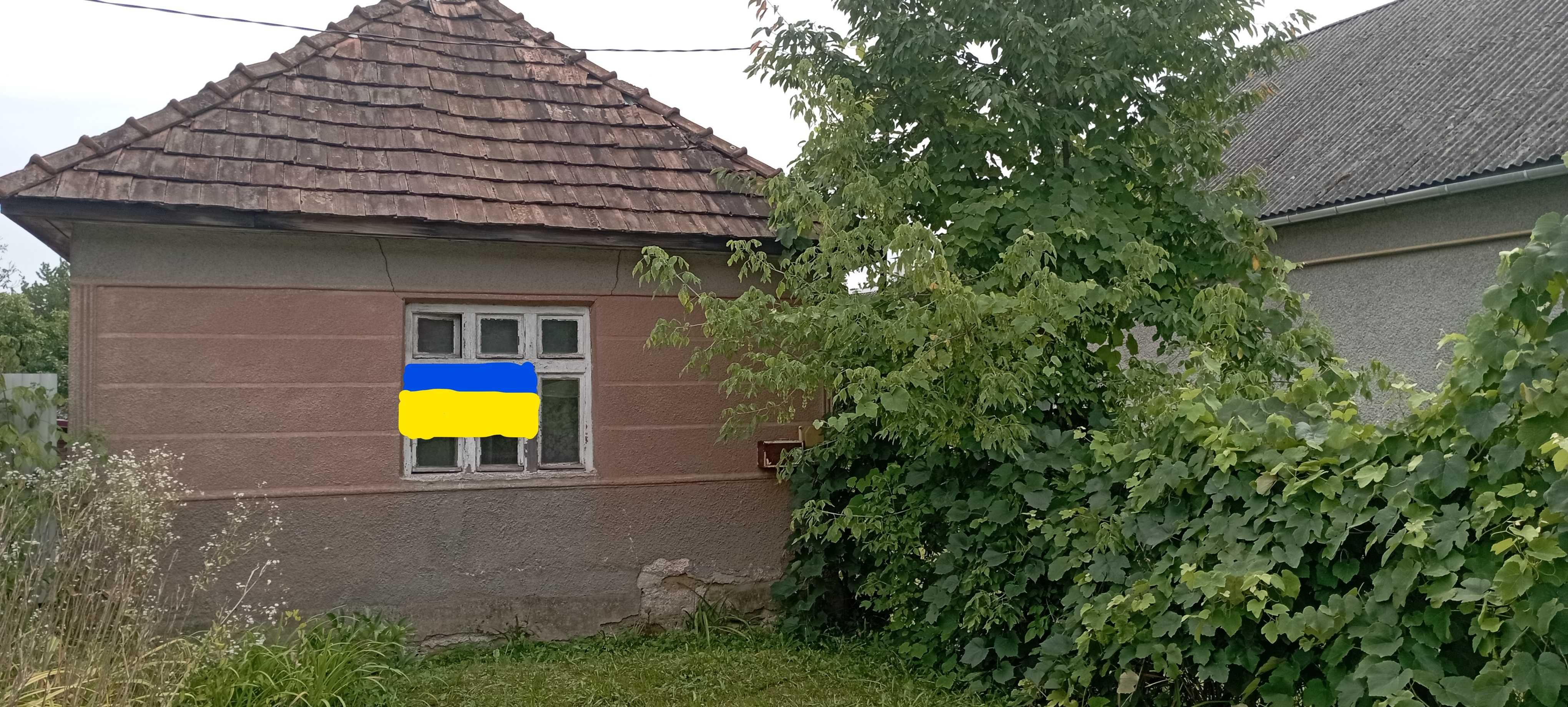 Ціну знижено Продаємо будинок в селі Голубине