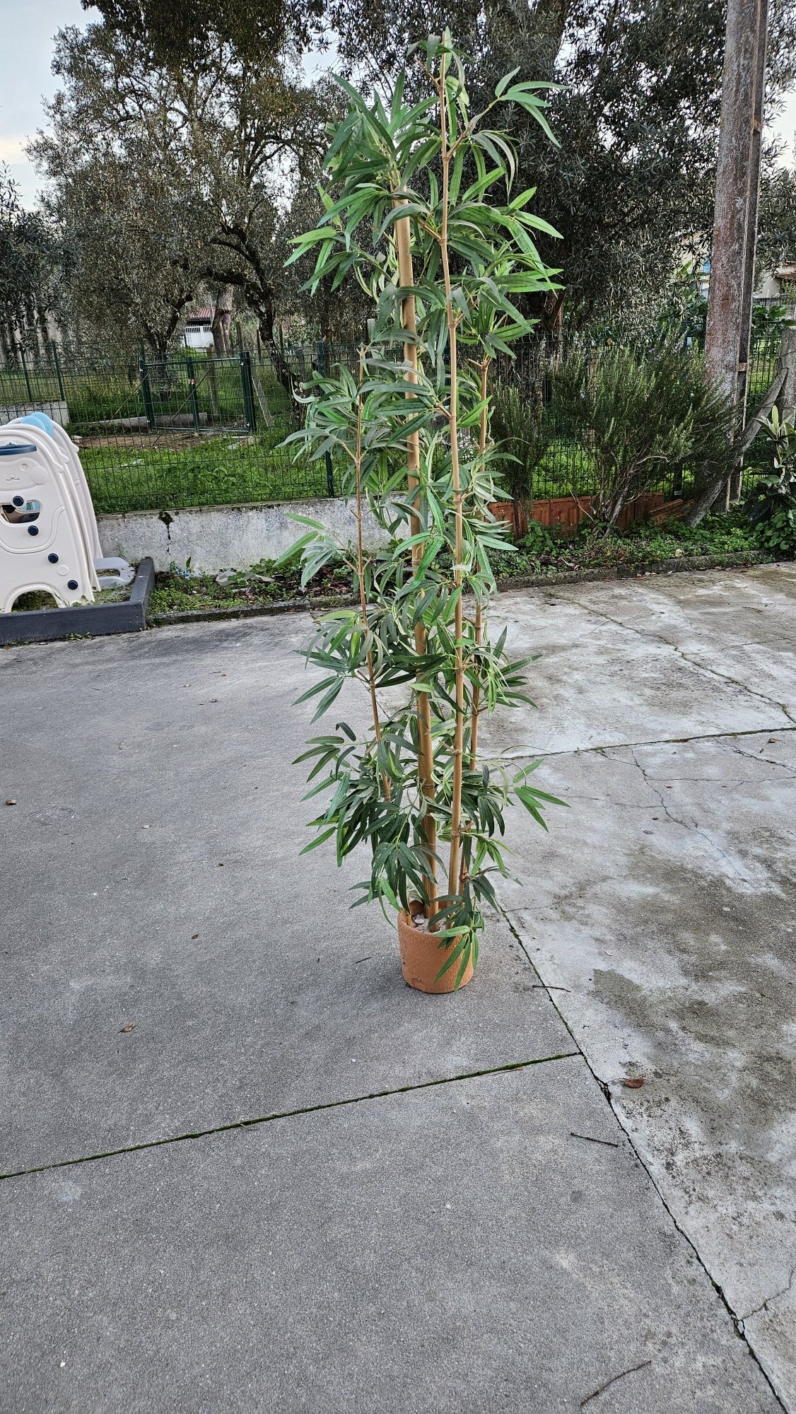 Arranjo decorativo bambu