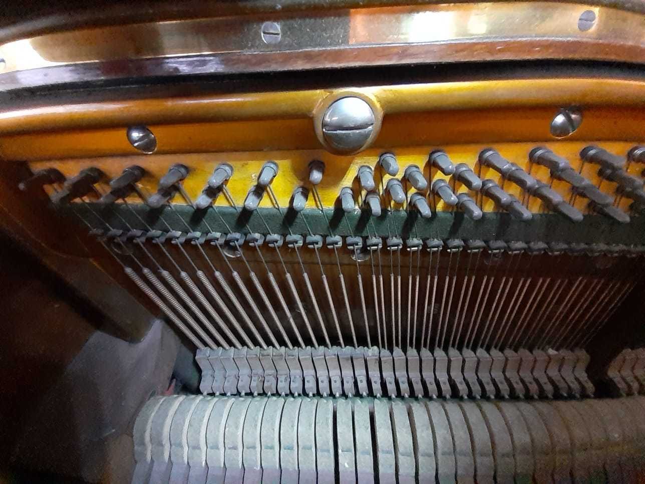 Pianino C.Bechstein Berlin z duszą