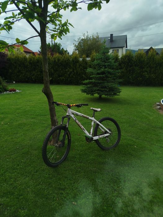 Scott voltage yz