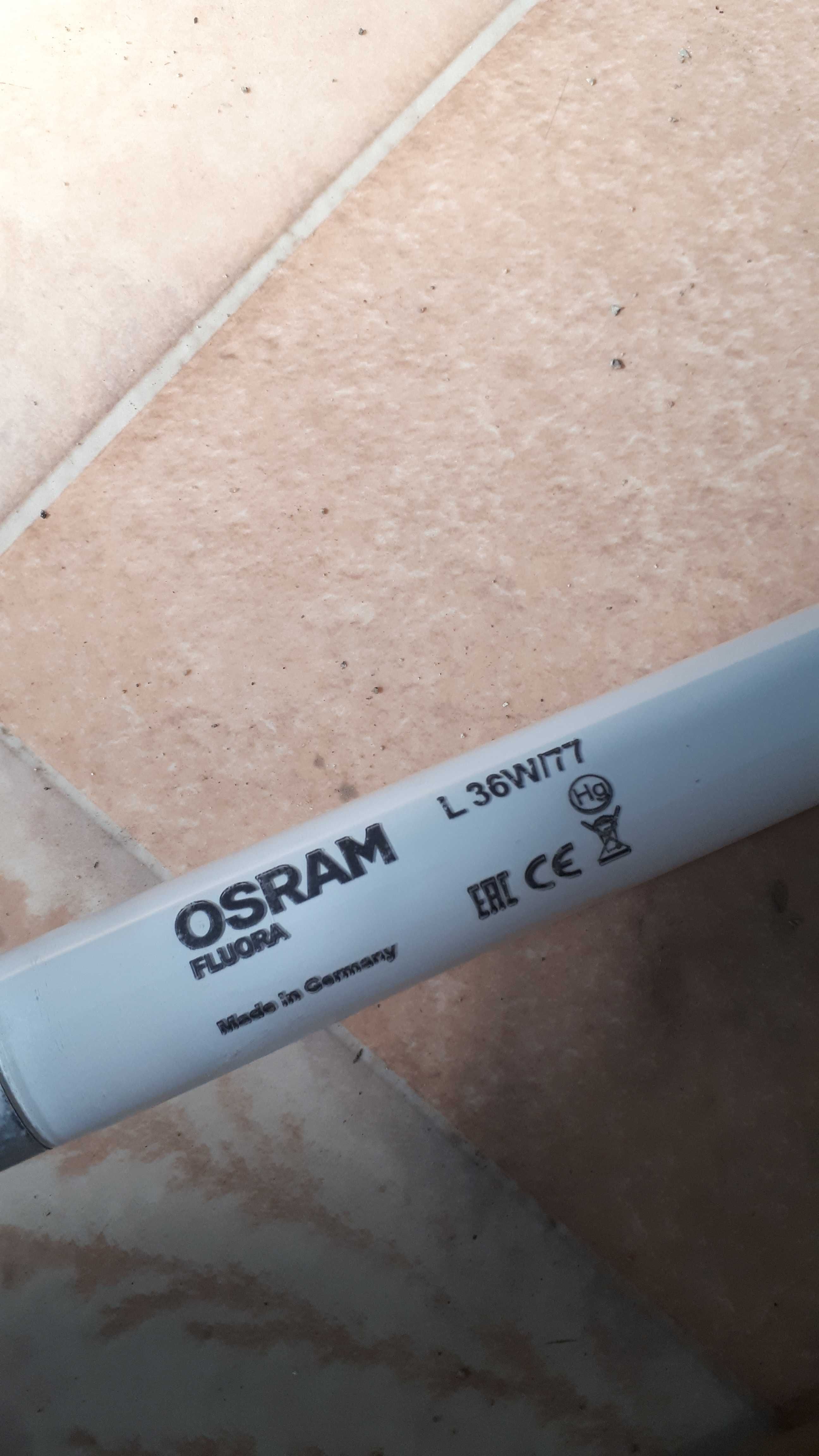 Лампа osram fluora