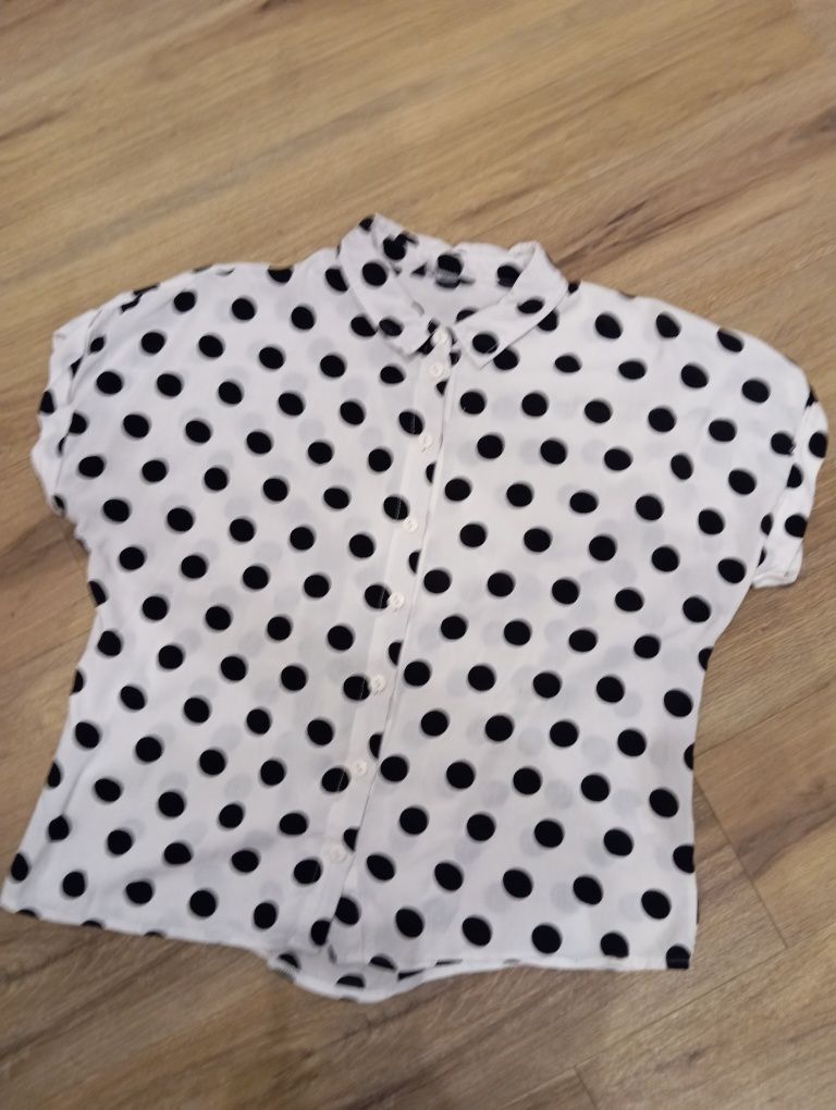 Koszula damska krótka oversize L 40