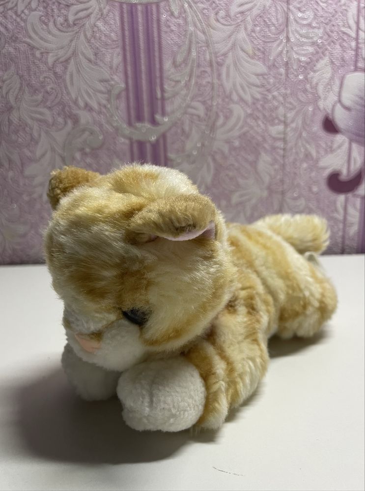 Котик під реалистику
