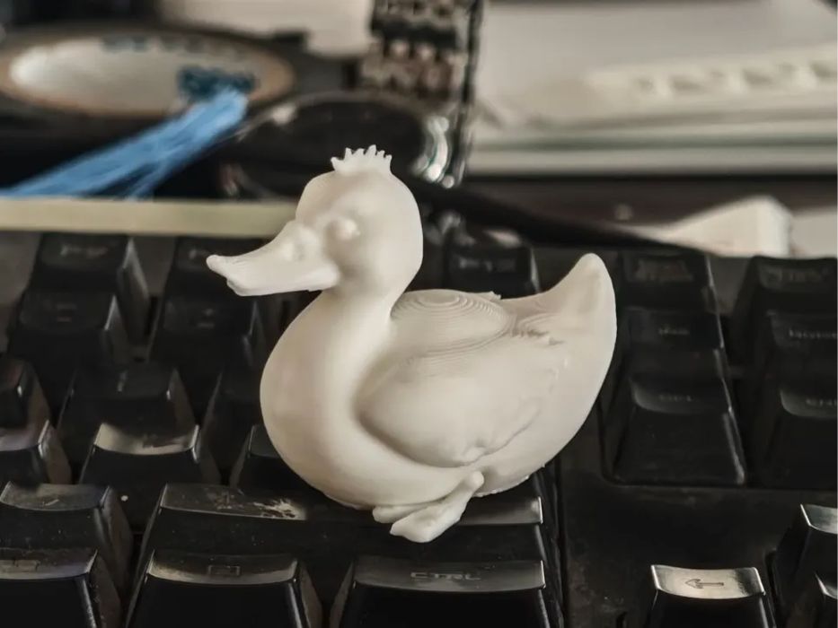 Pato Sentado Engraçado