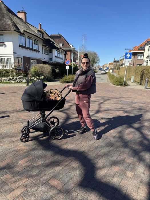 Cybex priam 4.0 2024 (ЗНИЖКА)