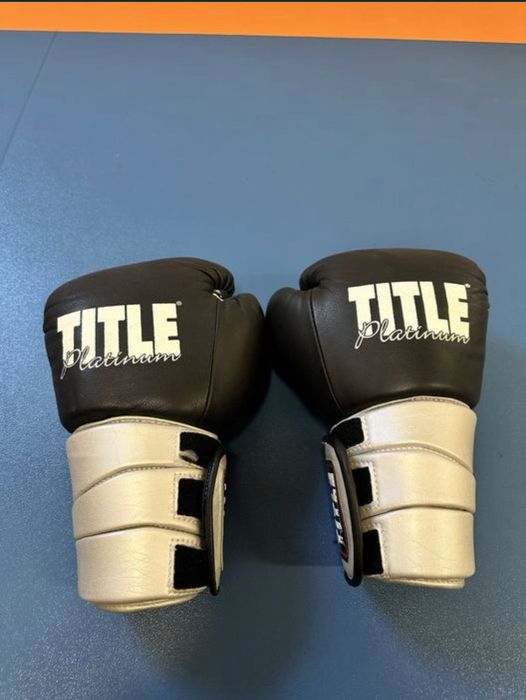 Боксерські рукавички Everlast 16, Title Platinum, MMA