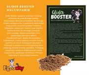 Lotopałanka karłowata Glider Booster multivitamin