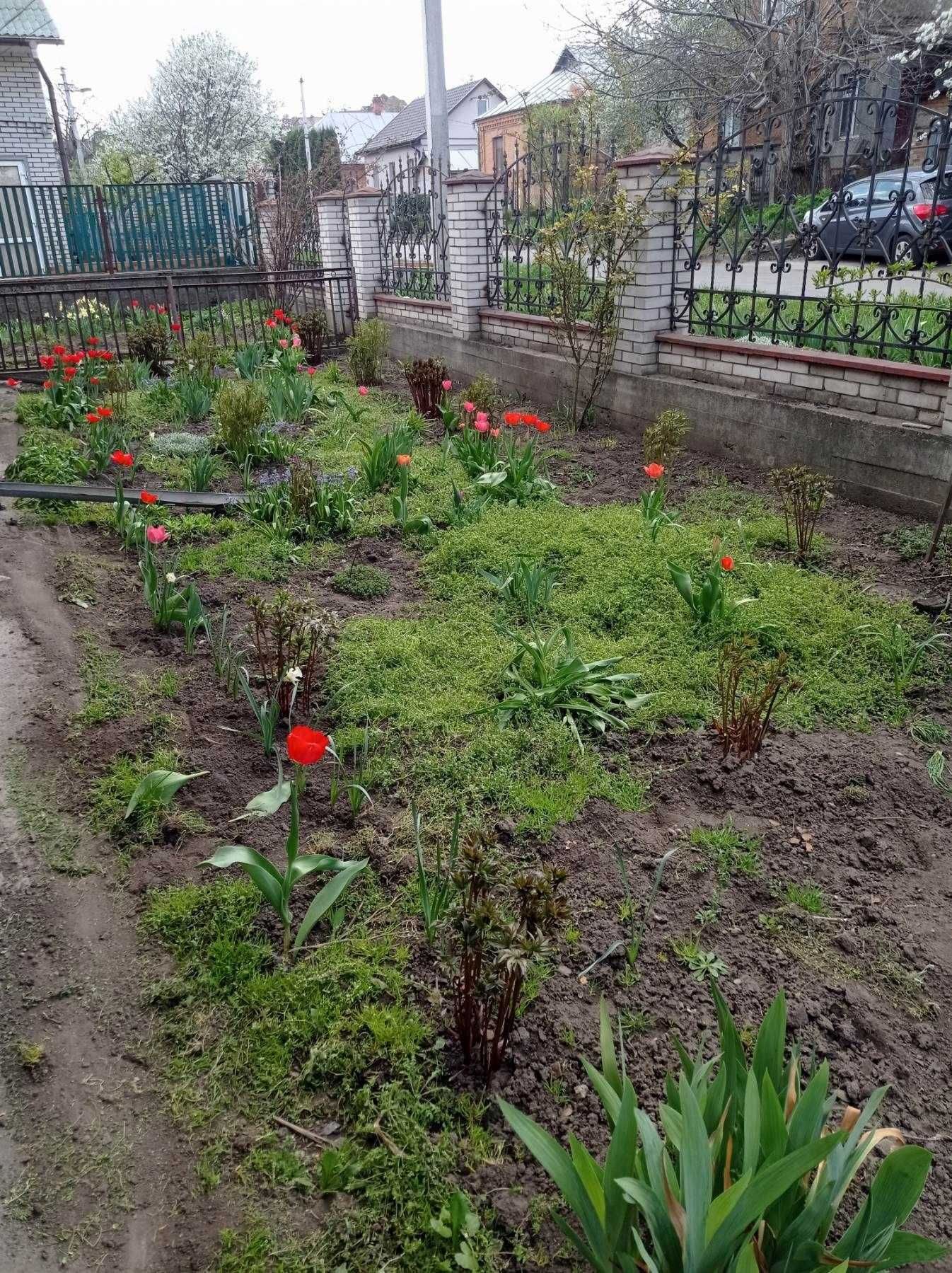 Продається 3к будинок у м. Хмельницький, район Дубове 
ID: 38527
