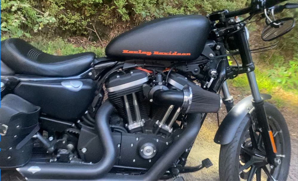 Harley davidson custom 883 iron 2019 rok