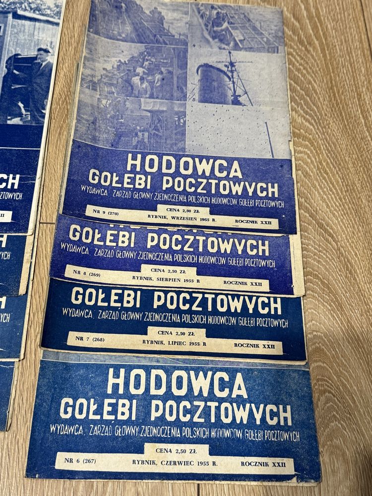 Gołąb Hodowca gołębi pocztowych stara gazeta miesięcznik 1955r.