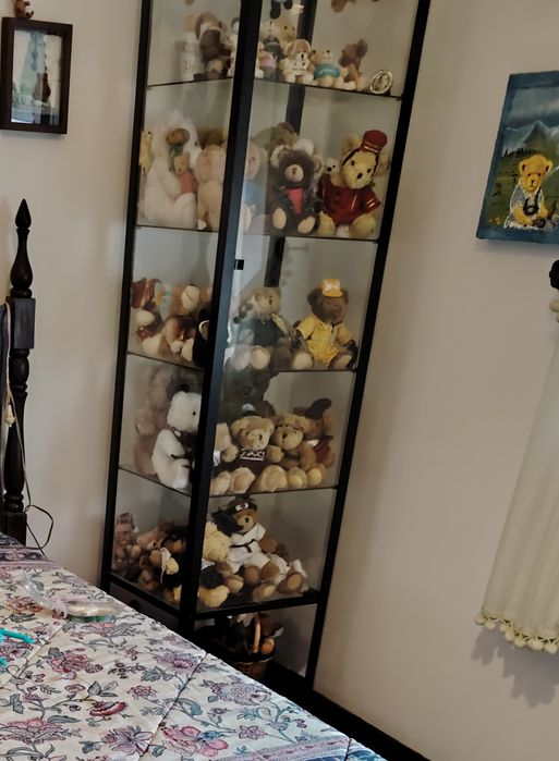 Coleção de ursos peluche